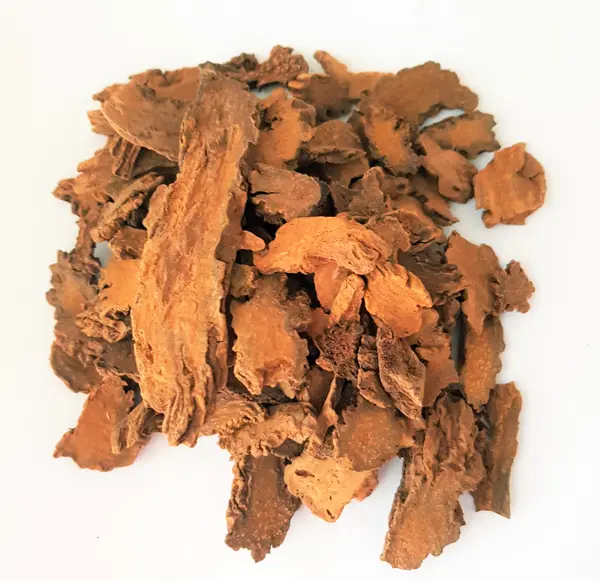 Suo Yang