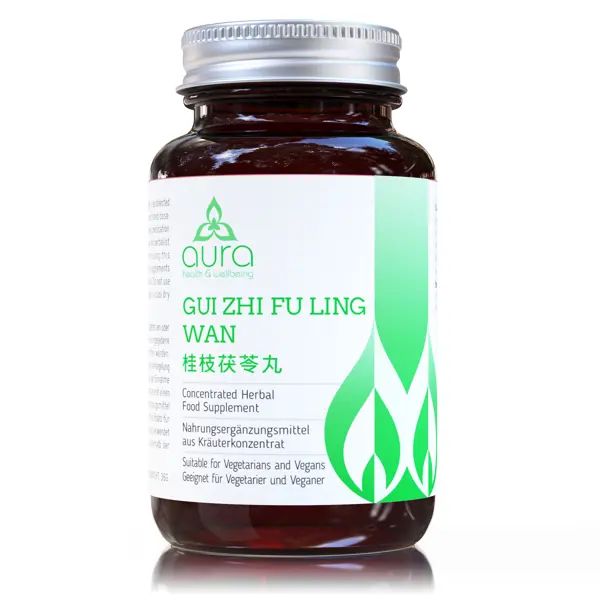 GUI ZHI FU LING WAN (comprimés)