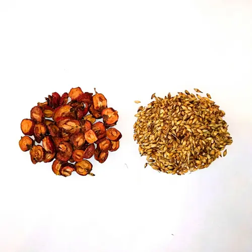 Digestion + Accumulation