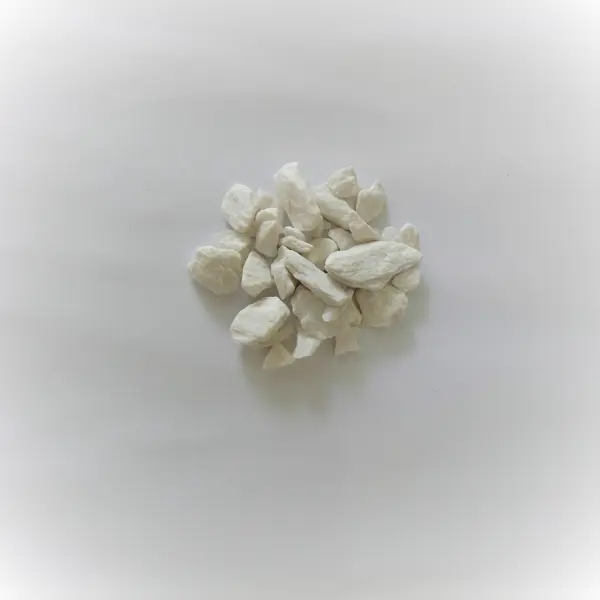 Hua Shi