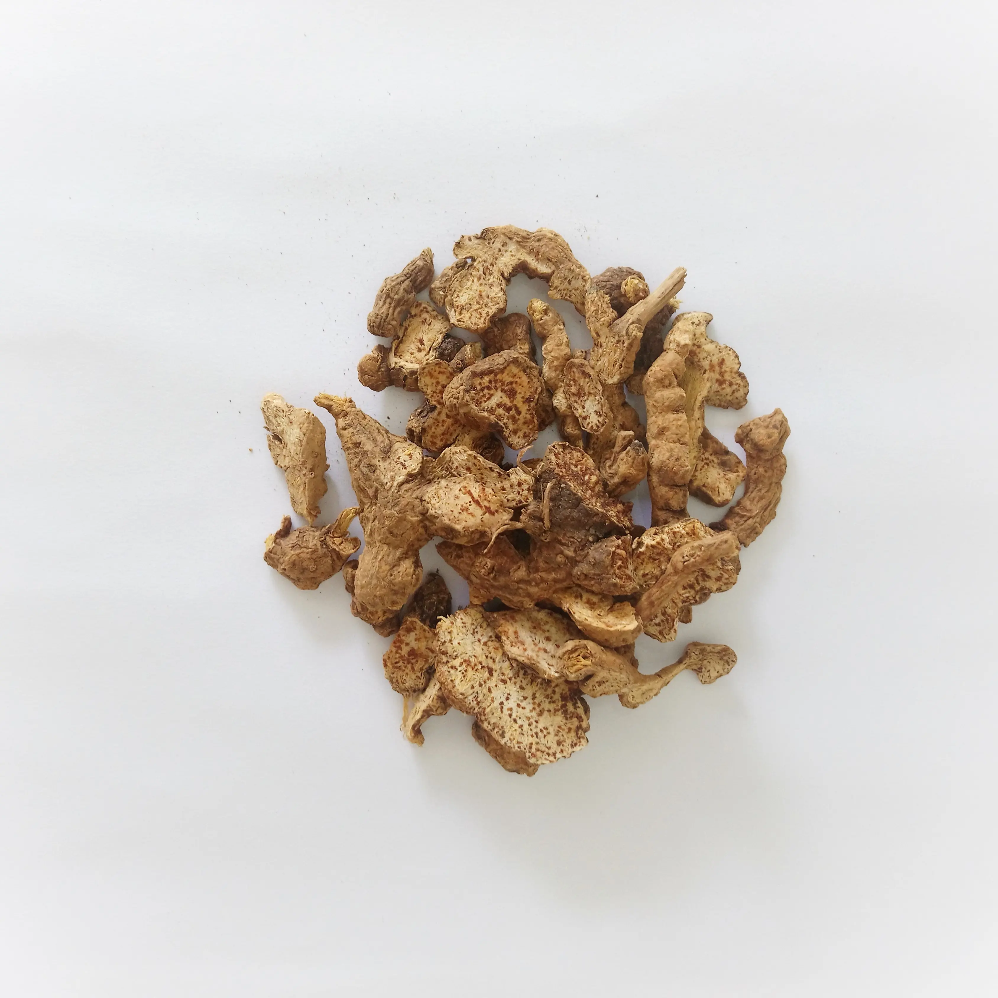 Cang Zhu (Fu Chao)
